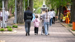 На поддержку многодетных семей направят более 3 млрд рублей на Ставрополье