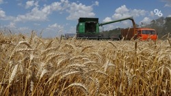 Два округа Ставрополья полностью завершили уборку зерновых 