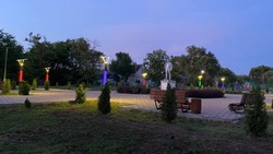 Новые уличные светильники установили в центре села Подлесного