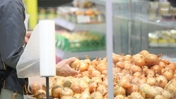 В Труновском округе собрали 360 тонн лука