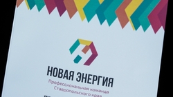 Участники ставропольского проекта «Новая энергия» пройдут стажировку в органах власти