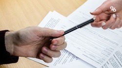 В минсельхозе назвали страны, заинтересованные в поставках ставропольских семян 