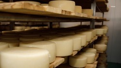 Ставропольскую продукцию представят на всероссийском гастрофестивале