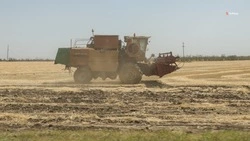 Ставропольские аграрии приступили к севу яровых культур 