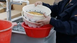 Ставрополье наладит сотрудничество с биотехнологической корпорацией Белоруссии 