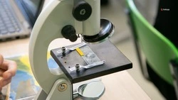 Дополнительные бюджетные места откроют на Ставрополье по аграрным специальностям