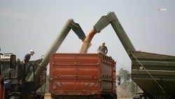 64 тыс. единиц техники задействуют в уборочной кампании на Ставрополье