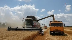 Аграриям Ставрополья выдали краткосрочные кредиты на 12,5 миллиарда рублей