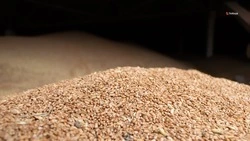 Экспортёры АПК Ставрополья поставляют продукцию на Ближний Восток
