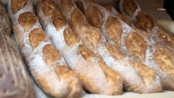 Ставропольские предприятия пищепрома нарастили выпуск продукции на 13%