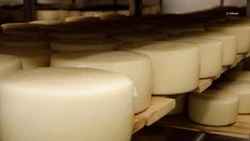 Экспорт продукции пищепрома нарастили на Ставрополье на 12%