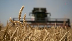 Ставропольские аграрии получили 62% от ежегодного объёма субсидий