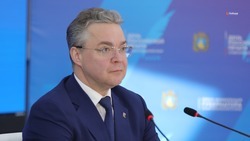 Губернатор Владимиров: На Ставрополье нарастили производство мяса птицы