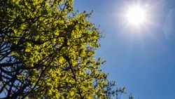 17 августа в Труновском округе будет ясно и жарко