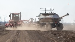Аграрии Труновского округа завершают весеннюю посевную кампанию