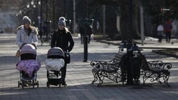 Бесплатные социальные услуги могут получить семьи мобилизованных ставропольцев