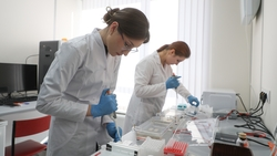 В 2025 году 90 медиков пришли на работу в медучреждения Ставрополья 