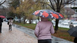 Ставропольцев предупредили о сильных ливнях и ветре 11 мая
