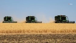 Восемь региональных операторов снабжают топливом ставропольских аграриев