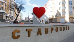 Эксперты рассказали о трендах на бирже труда Ставропольского края