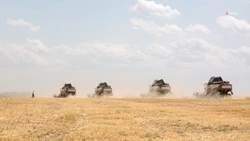 Аграрии Труновского округа завершили уборку зерна