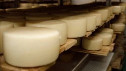 Ставропольские предприятия нарастили экспорт сельхозпродукции