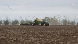 План по севу яровых выполнили на Ставрополье на 44%