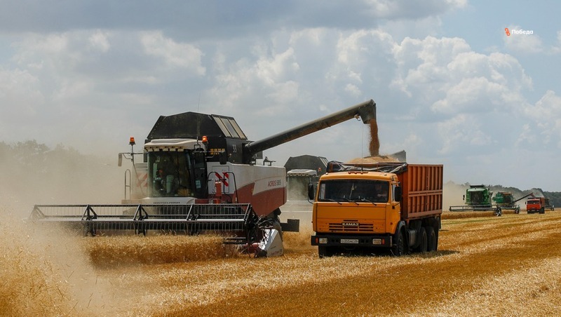 Экспорт ставропольской агропродукции в Киргизию вырос на 56%