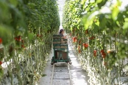 Жительниц Труновского округа поздравили с Днём сельских женщин