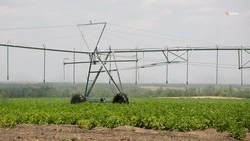 Ставрополье получит дополнительное финансирование на развитие мелиорации