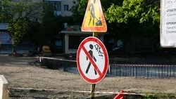Почти 8 тыс. голосов набрал проект по обновлению улицы Садовой в селе Донском