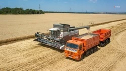 Ставропольские аграрии впервые получат господдержку на условиях авансирования 