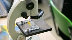 Агрокласс откроют в школе села Донского