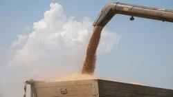 План жатвы выполнили на Ставрополье на 95%