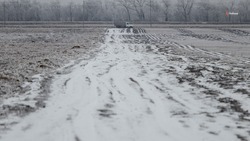 Низкие температуры не навредили ставропольским посевам — минсельхоз региона