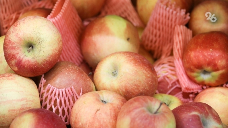 Яблочные сады и плодохранилища расширяют на Ставрополье