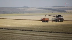 В 2023 году аграрии Ставрополья получили более 4,6 млрд рублей господдержки