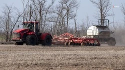 Более 60% яровых засеяли на Ставрополье