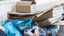 Жители Ставрополья собрали 48 тонн макулатуры