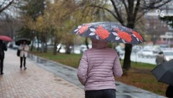 Ставропольцев предупредили о сильных ливнях и ветре 11 мая