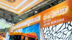 На стенде Ставрополья дали старт неделе культуры