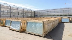 На Ставрополье реализуют 27 инвестпроектов в аграрной отрасли
