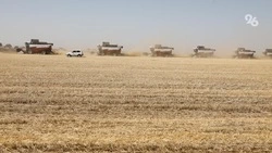 На Ставрополье в 2023 году нарастят объёмы господдержки аграрного сектора