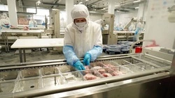 На Ставрополье развивают межрегиональные кооперации в сфере АПК