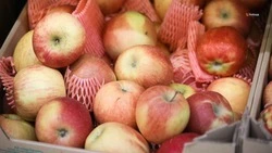 Около 25 тонн ставропольской продукции реализовали на ярмарке в Антраците