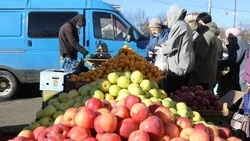 Губернатор Ставрополья: Проведём минимум 35 тыс. ярмарок в 2026 году