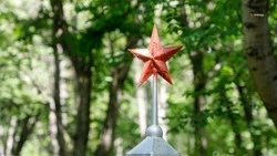 Кладбище в селе Донском благоустроили по инициативе жителей