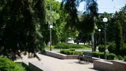 Территорию вблизи райбольницы благоустроят в Труновском округе 