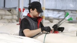 На Ставрополье в 2022 году выросло число субъектов малого и среднего бизнеса