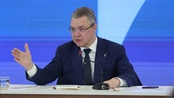 Снег положительно повлиял на состояние посевов на Ставрополье 